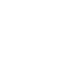 B1T emblem