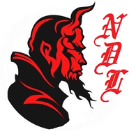 NDST emblem