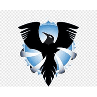 R_4 emblem