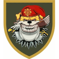 GSV_ emblem