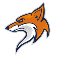 -DFR- emblem
