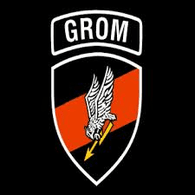 GROM5 emblem