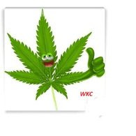 WKC emblem