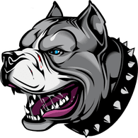 ANGR1 emblem