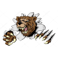 BJS emblem