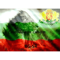 BG-SR emblem