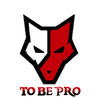 2-BP emblem