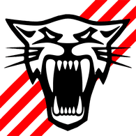 SSAIM emblem