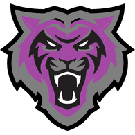 4TA emblem