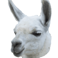 LAMMY emblem