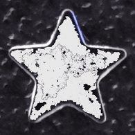 NARCS emblem