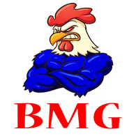 BMG-2 emblem