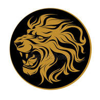 NM-IL emblem