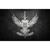 VE-P emblem
