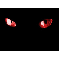 HIDE emblem