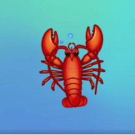 2DTIM emblem