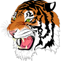 C_STS emblem