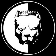 HOOL emblem