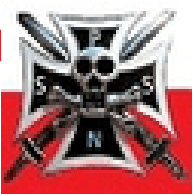 PSZ_N emblem