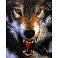 DV_ emblem