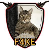 -F4KE emblem