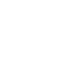 -HFE- emblem