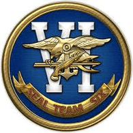 SEAL6 emblem