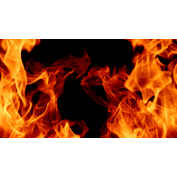 T-HEL emblem