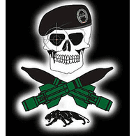 S4-OM emblem