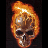 LGMS emblem