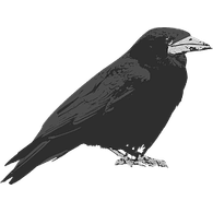 VRANA emblem