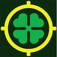 3-FOI emblem