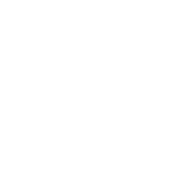 DZ-UA emblem
