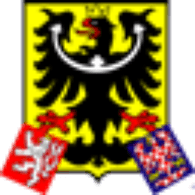 SEO emblem
