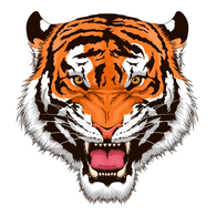 DFCT emblem