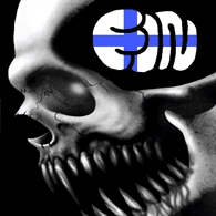 FIN emblem
