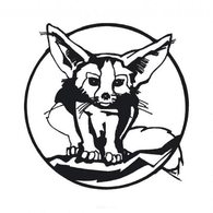 WSTE emblem