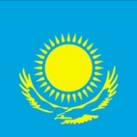 PNZER emblem
