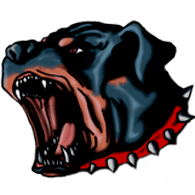 BD_CR emblem