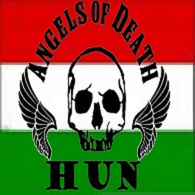 AOF-D emblem