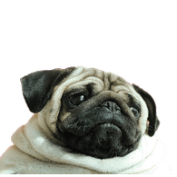 MOPS_ emblem