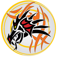 -DSA emblem
