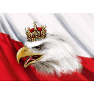 BORP emblem