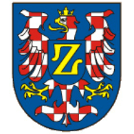 ZTD91 emblem