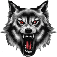 962ER emblem
