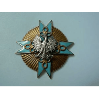 9IAD emblem