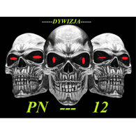 PN-12 emblem