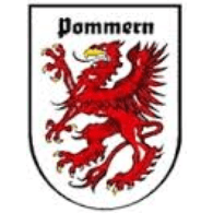 DIV-P emblem