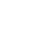 LIGHT emblem