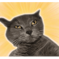 FTRNG emblem